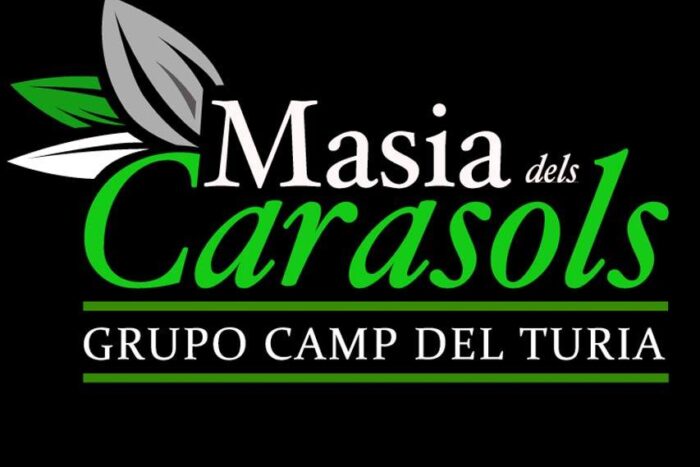 Logo Masia dels Carasols_Cuadrado negro